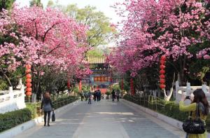 Yuantong Temple